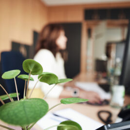 Aus dem Büro von Aich und Partner STB