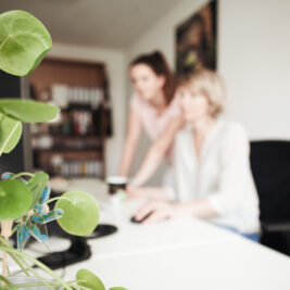 Aus dem Büro von Aich und Partner STB